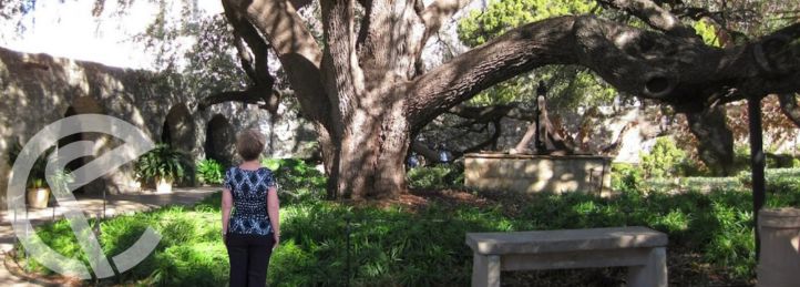 Olmos Park